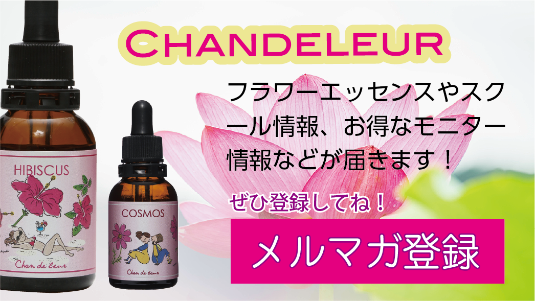 メルマガ登録