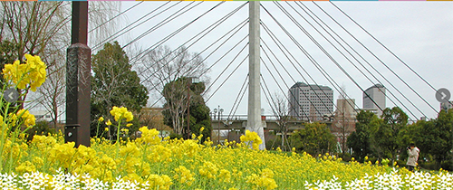 木場公園