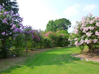 大船フラワーセンター